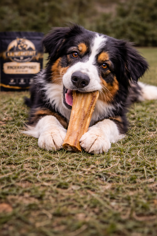 Rinderkopfhaut - Hundesnack